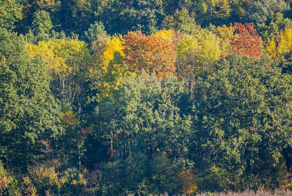 Herbst im Elm-Lappwald