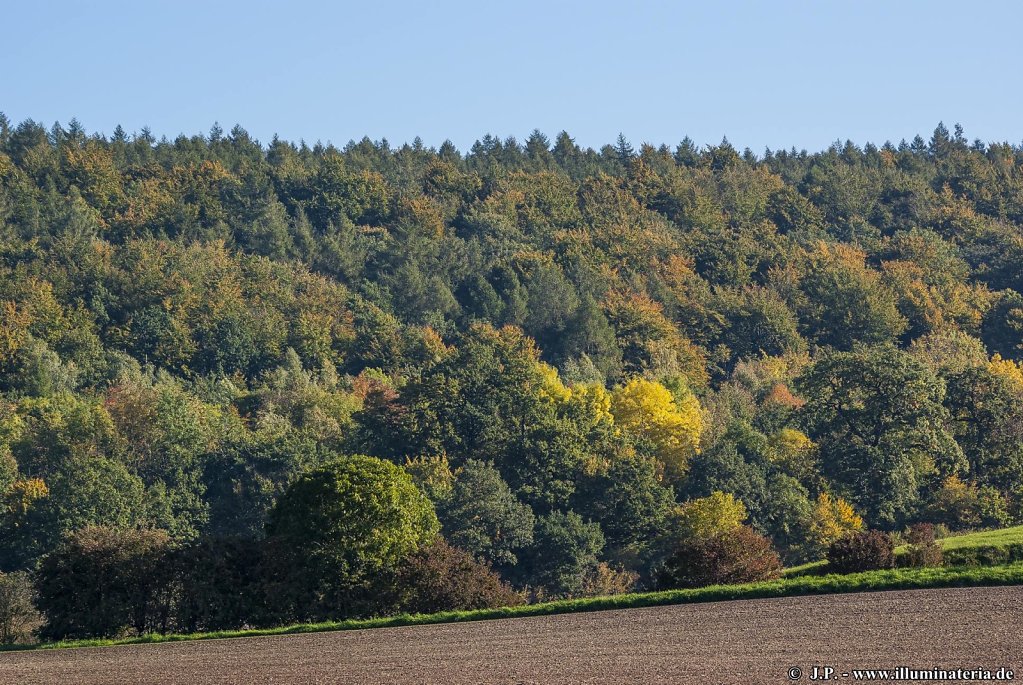 Ich liebe den Herbst