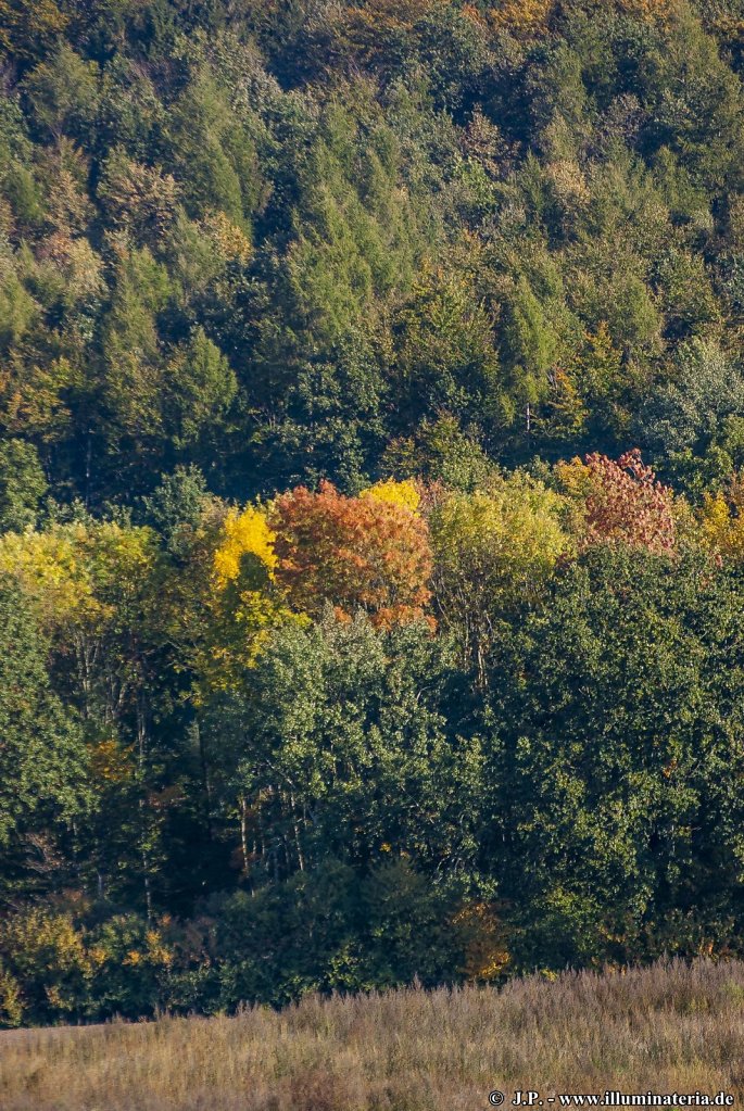 Autumnal views to the Dorm