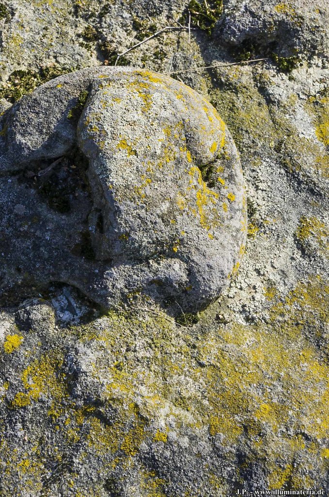 image024.jpg