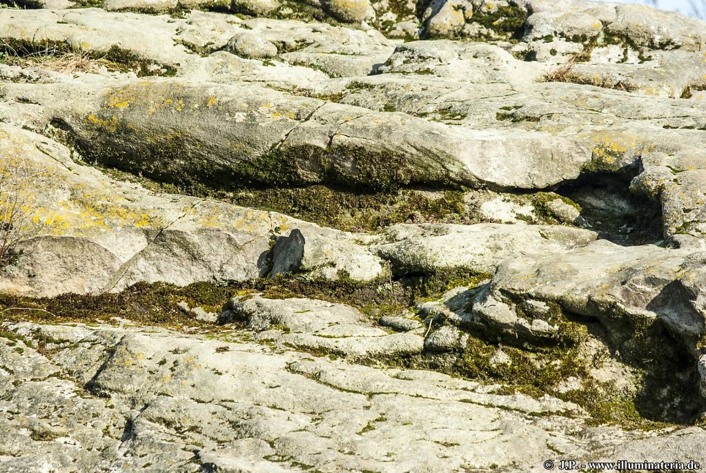image023.jpg