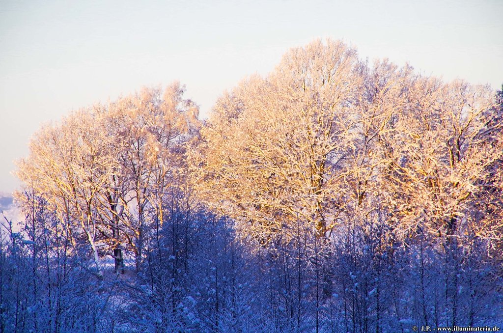 image003.jpg