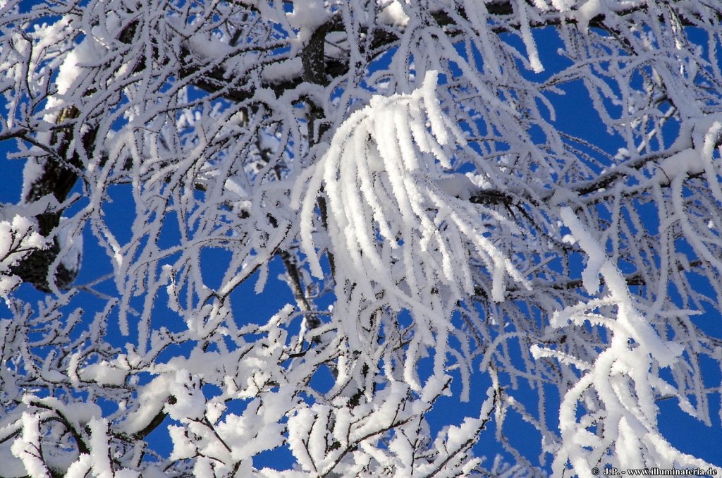 image017.jpg