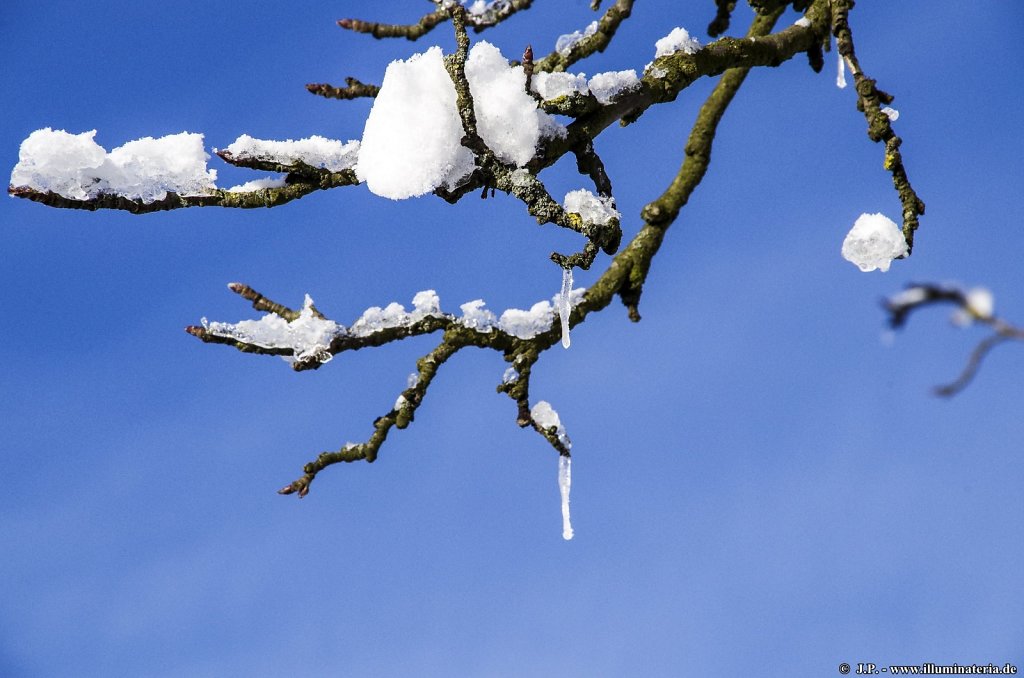 image026.jpg