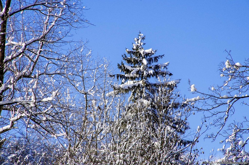 image035.jpg