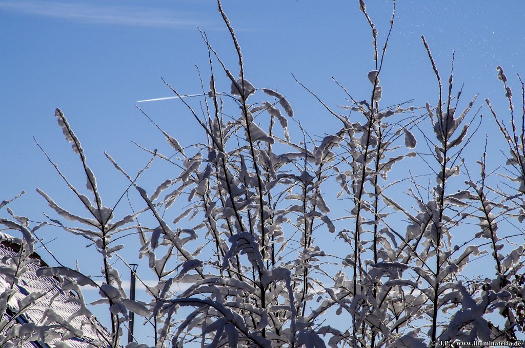 image041.jpg