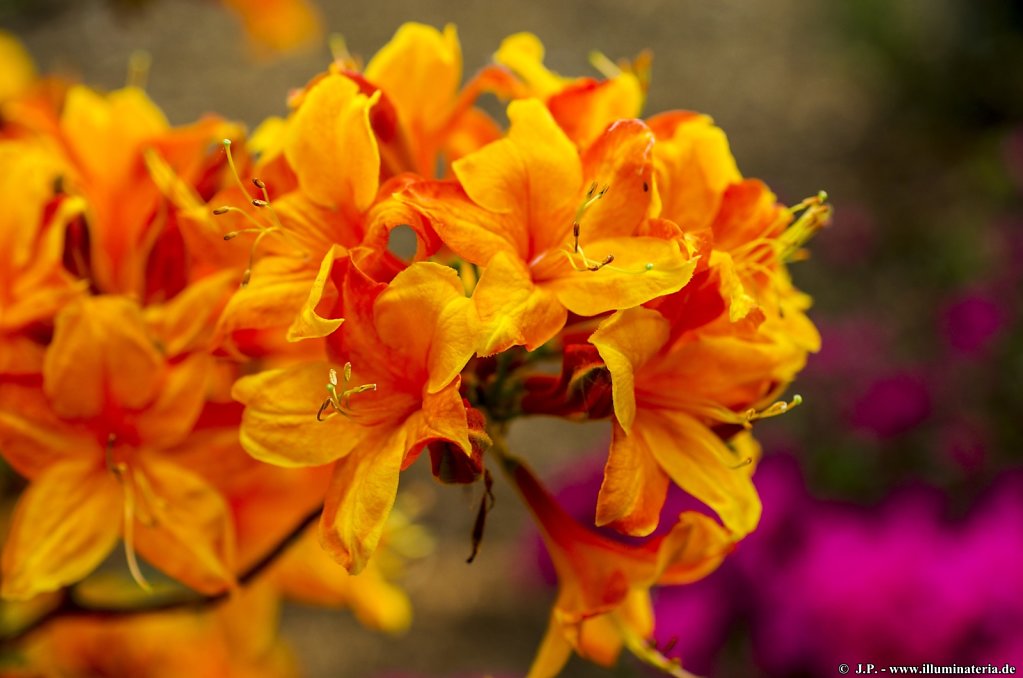 image044.jpg