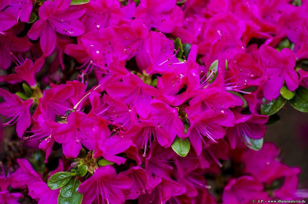image046.jpg