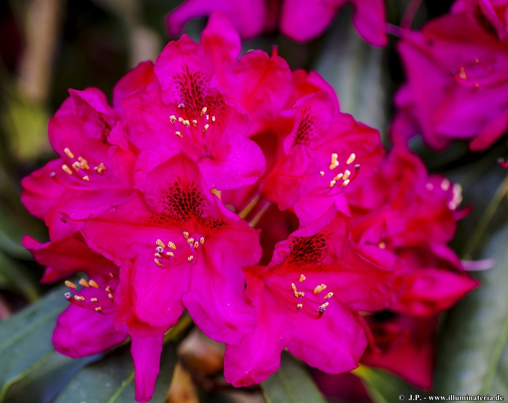 image061.jpg