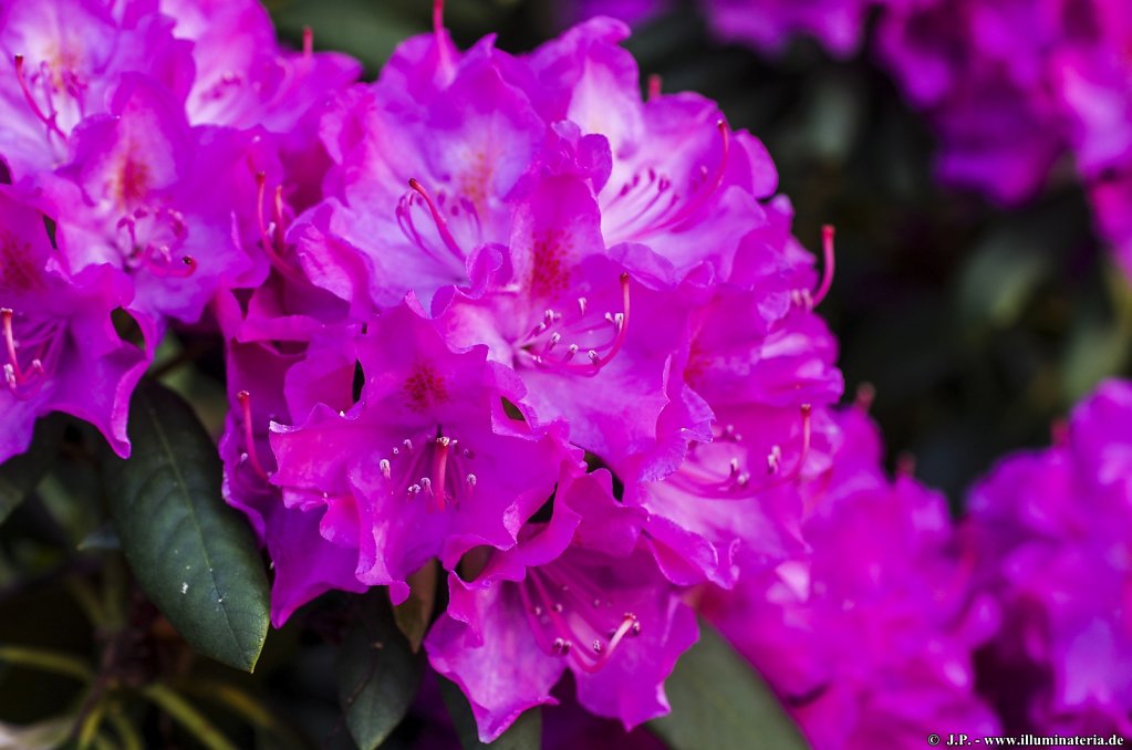 image065.jpg