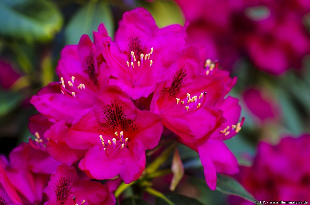 image068.jpg