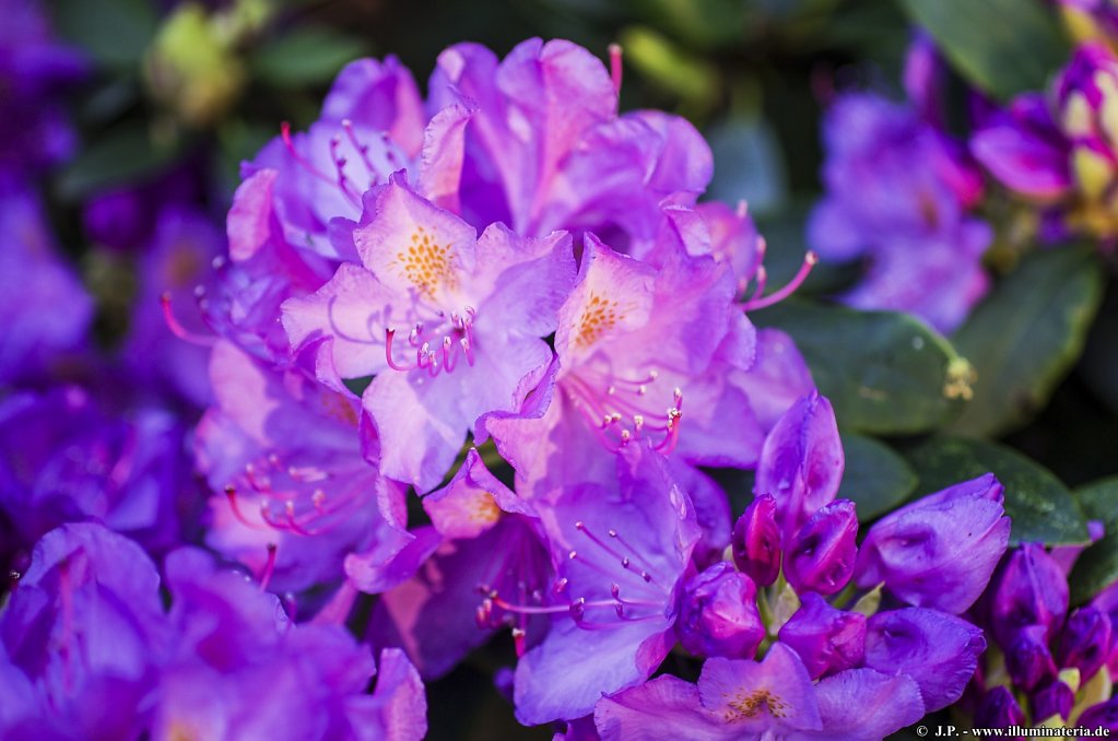 image072.jpg