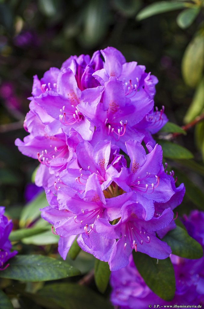 image075.jpg