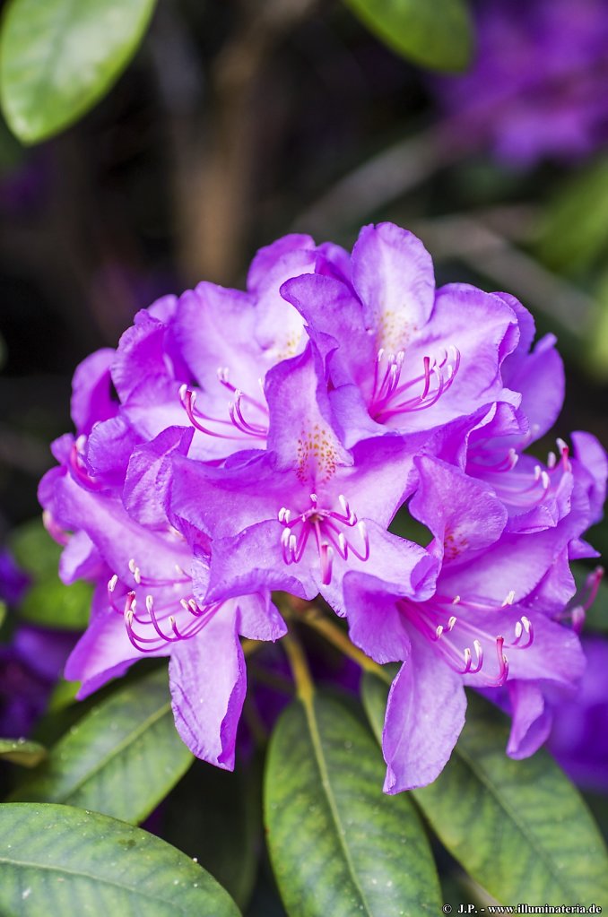 image084.jpg