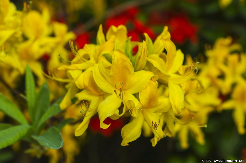 image086.jpg