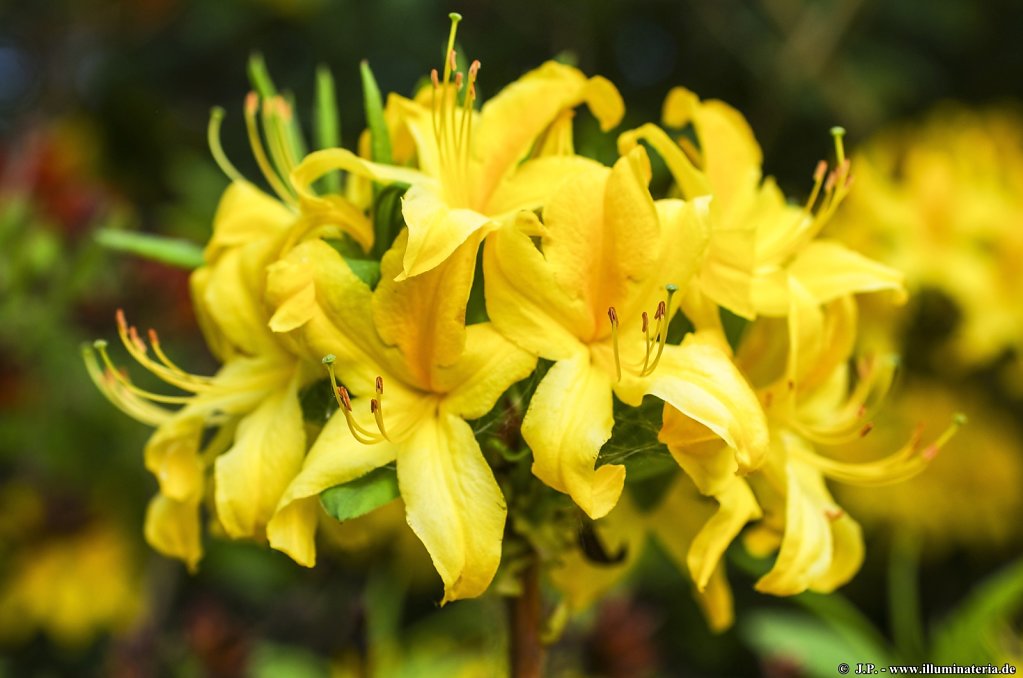 image088.jpg