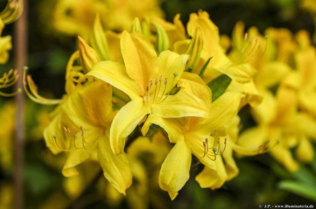 image091.jpg