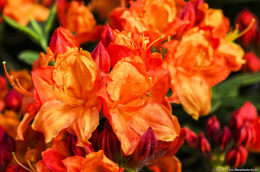 image093.jpg