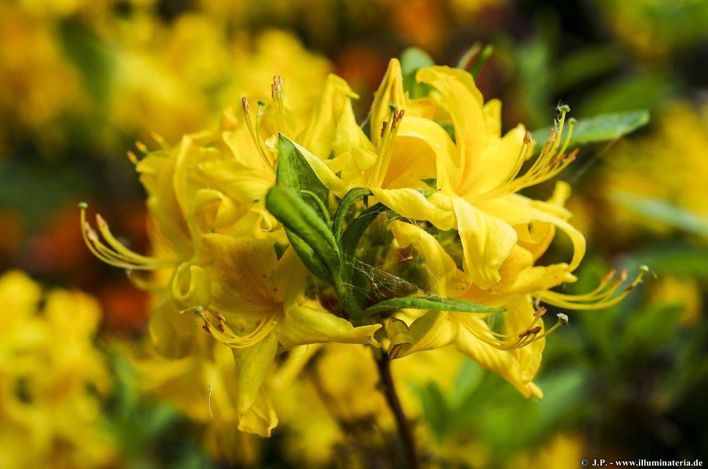 image094.jpg