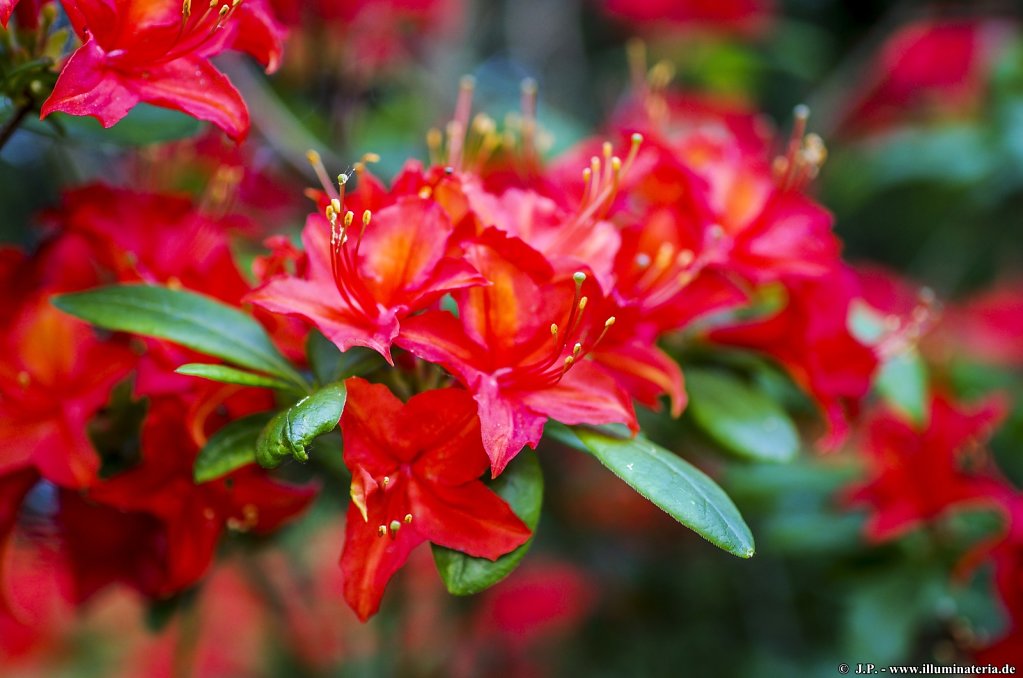 image095.jpg