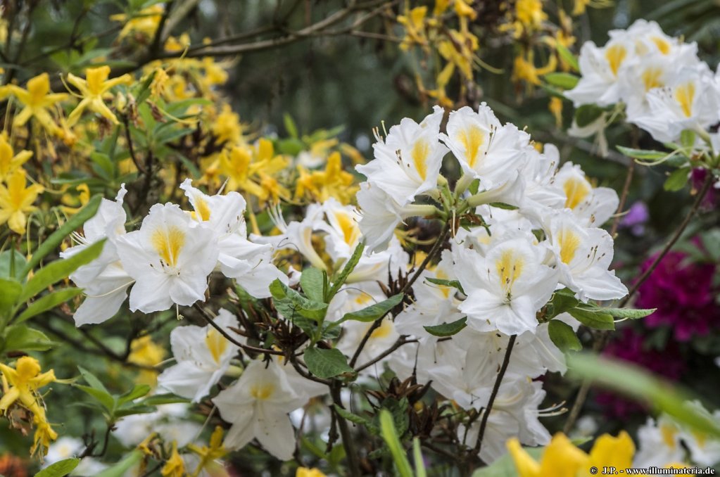 image036.jpg
