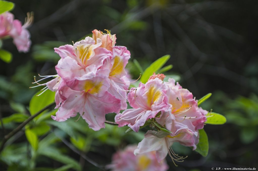 image051.jpg