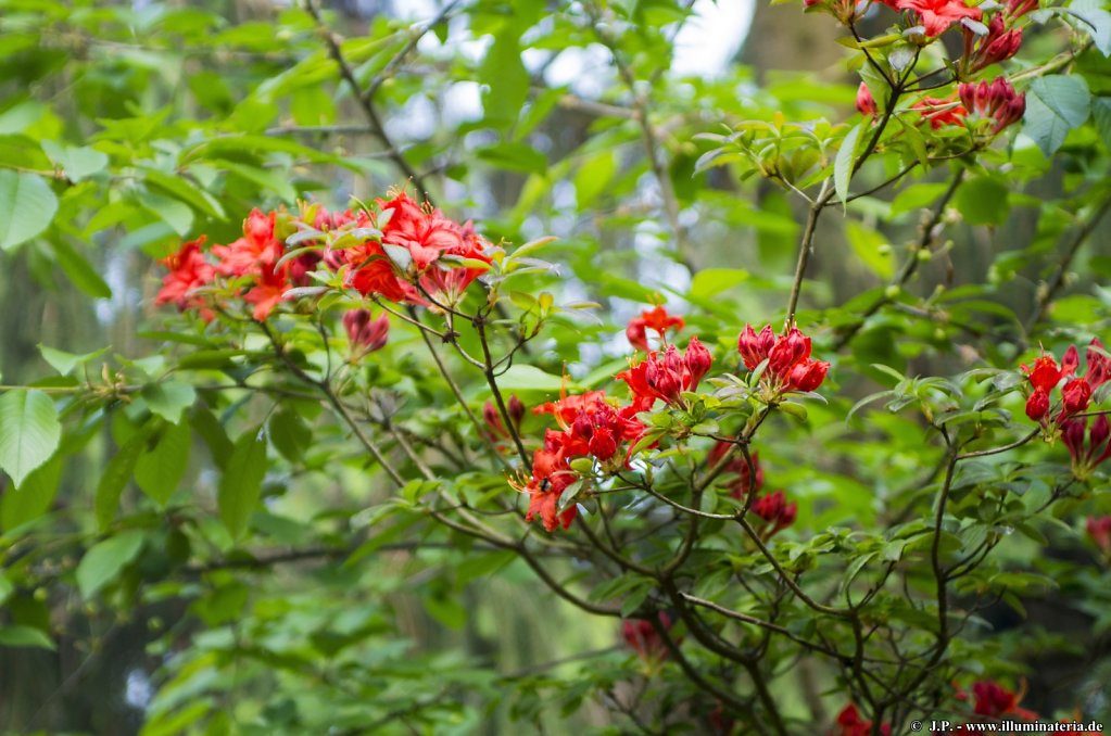 image058.jpg