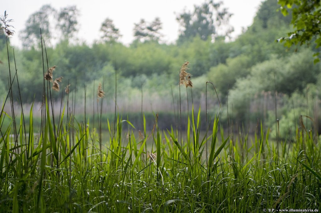 image064.jpg