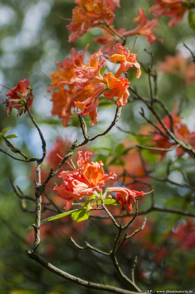 image046.jpg