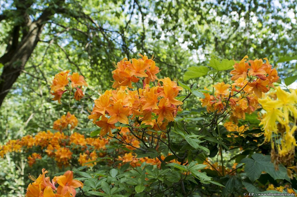 image002.jpg