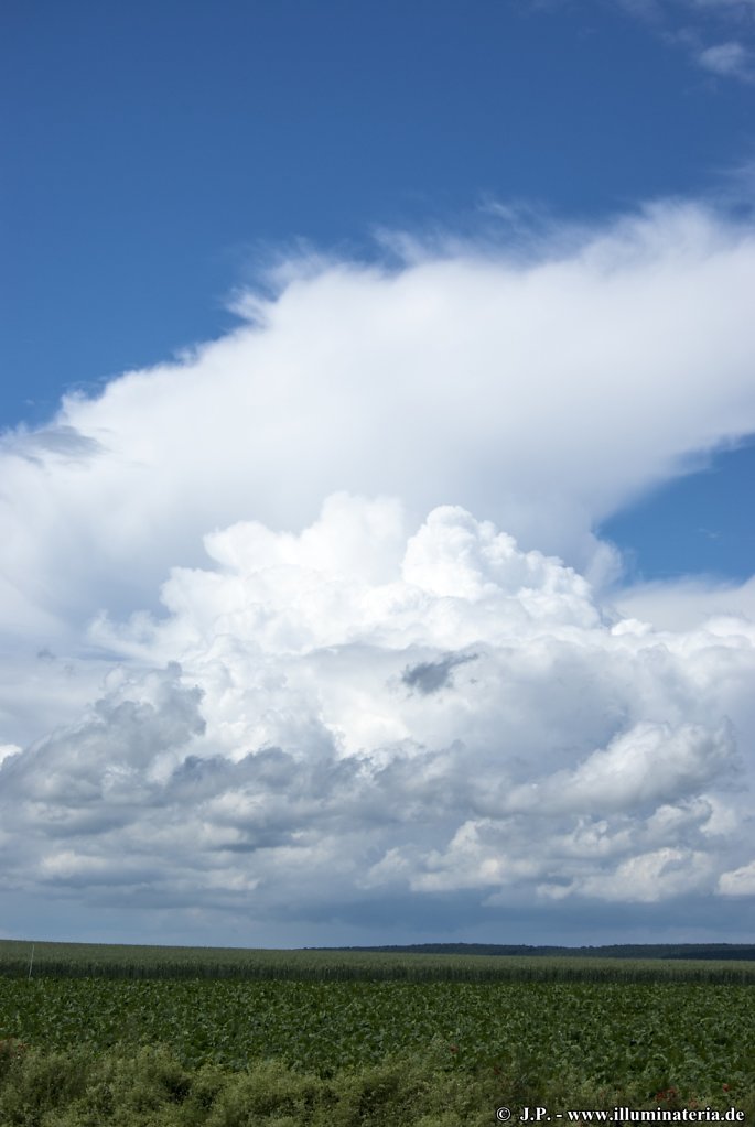 image008.jpg