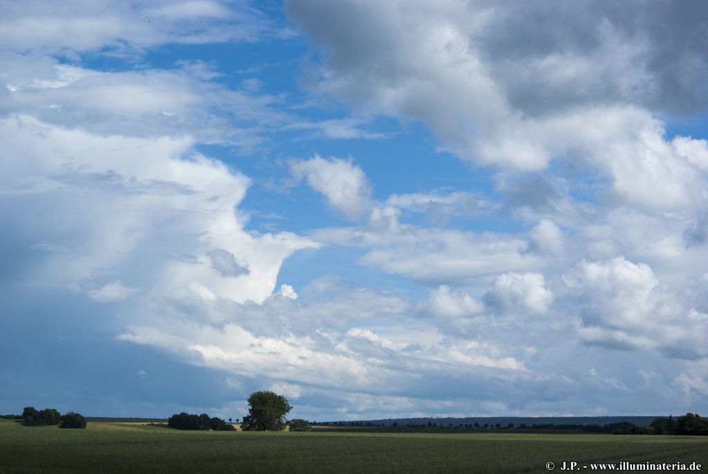image036.jpg
