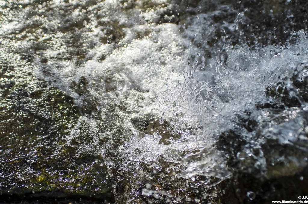 IMG2157a.jpg