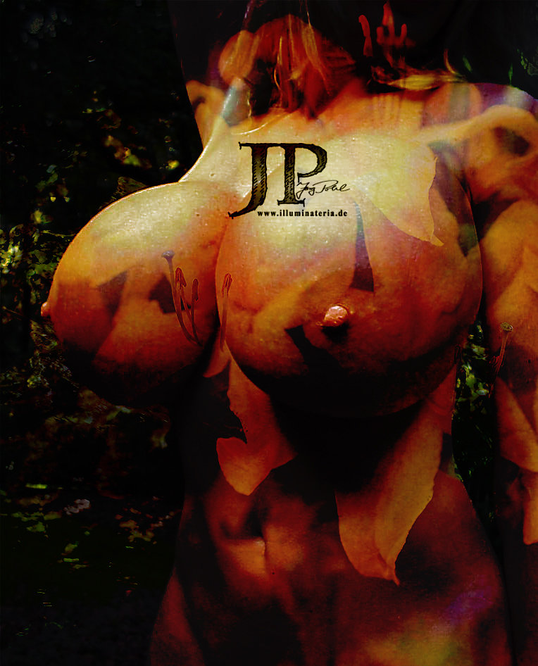 BB13BBBE.jpg